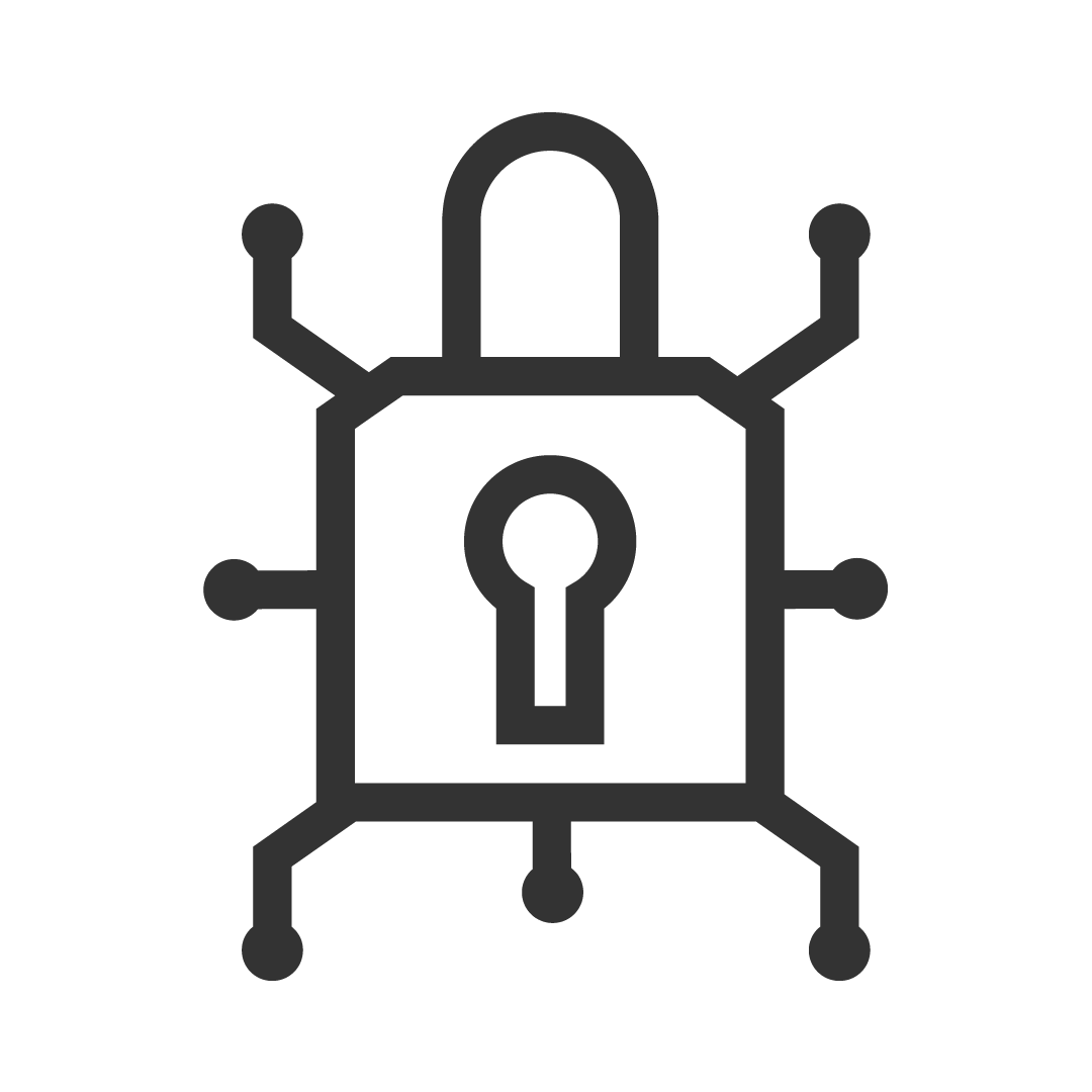 digital lock icon