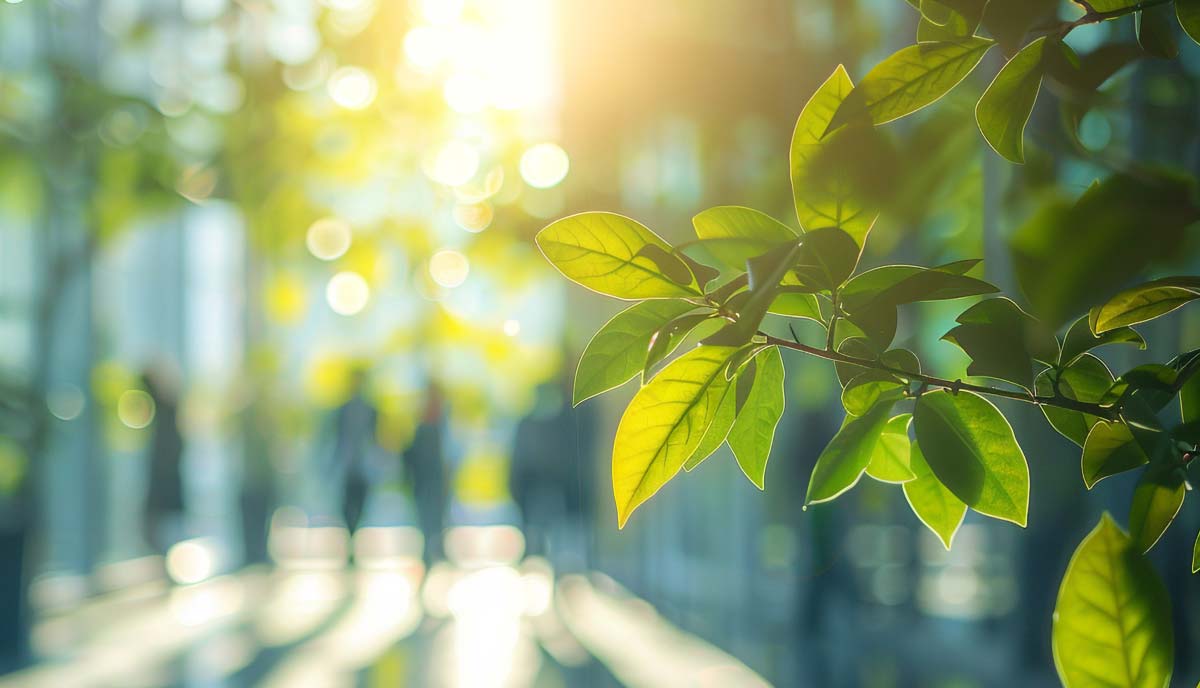 Photo of greenery.